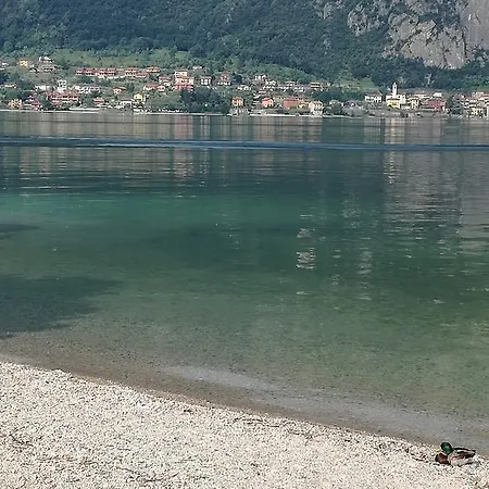 Elena